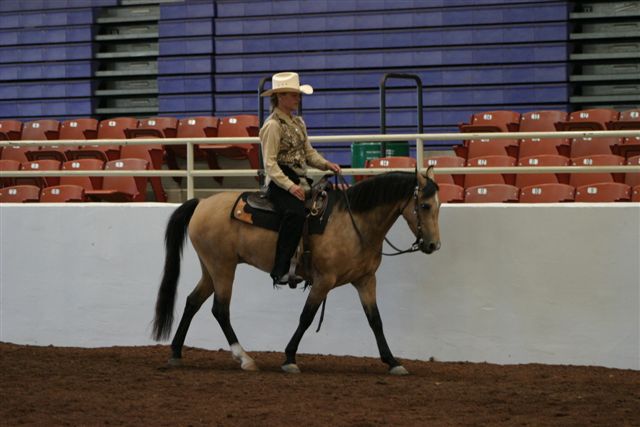 TiderCreek Amber,
 owned by Tanya Peterson