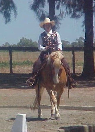 <b>Haflinger</b> mare owned/shown/ridden by Joan Mallum.
 1st Place:  Western Dressage - Basic Test 1
at Woodland Stallion Station's Schooling Dressage Show 5/12/2012
